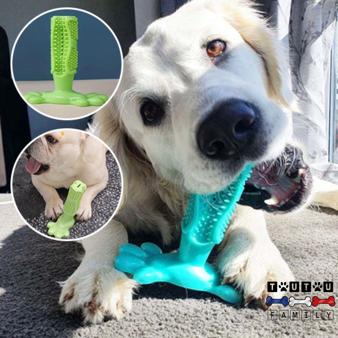 jouet-pour-chien-anti-tarte-dentifrice