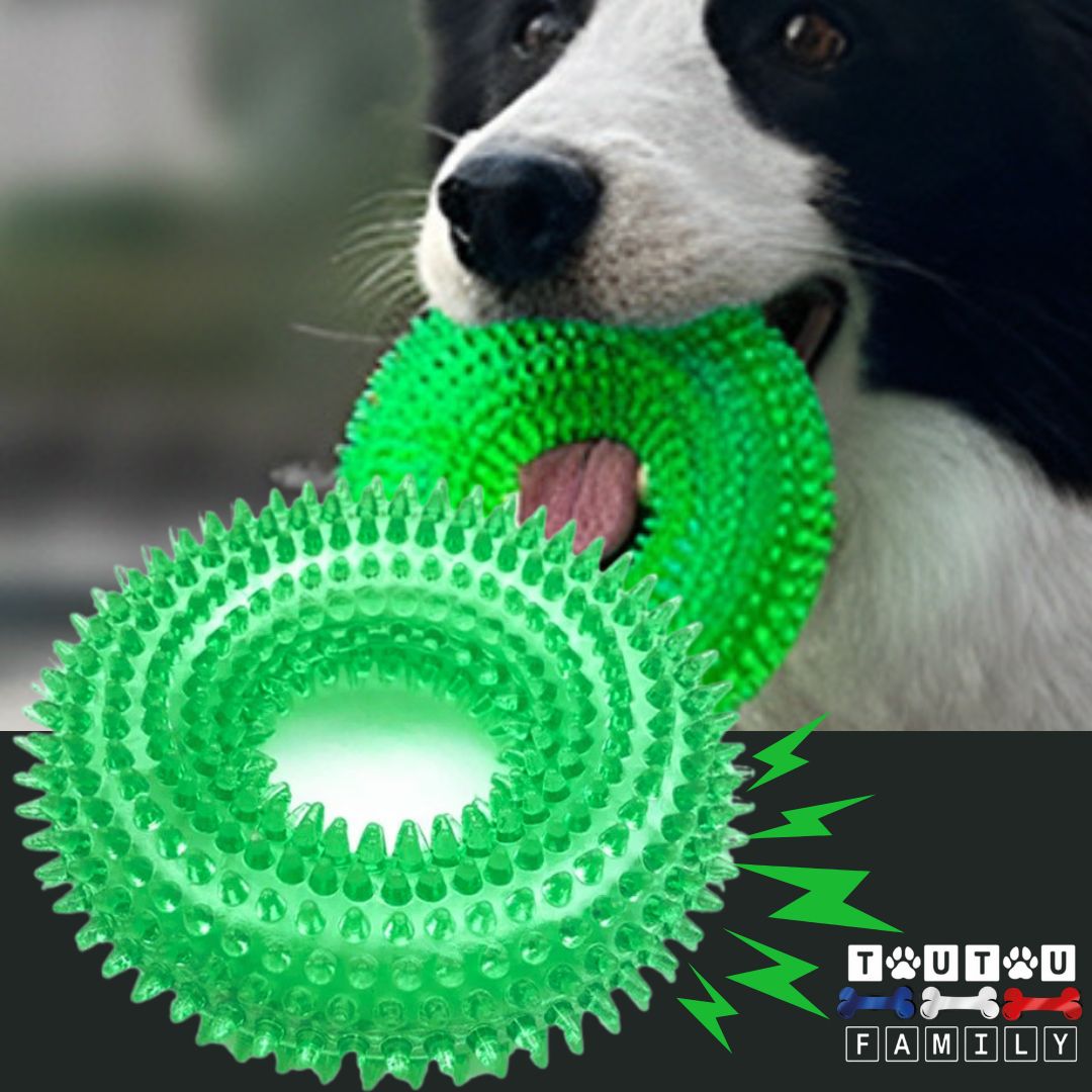 Jouet chien - FlotteToutouâą