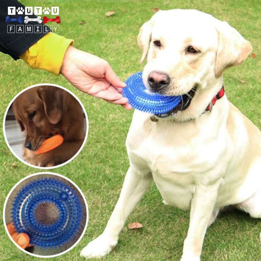 Jouet-chien-hygiene-dentaire