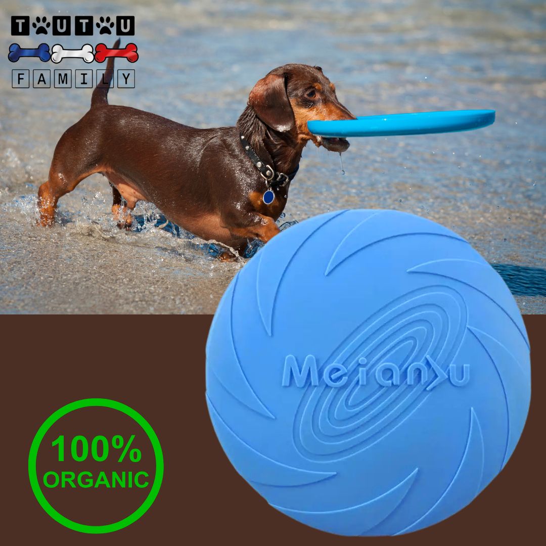 jouet-chien-bleu-flottant