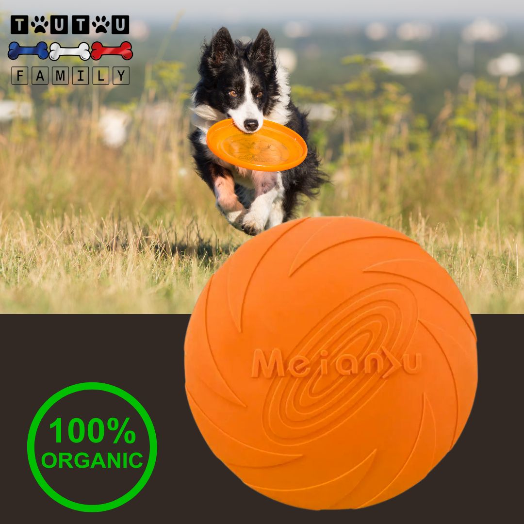 jouet-chien-orange