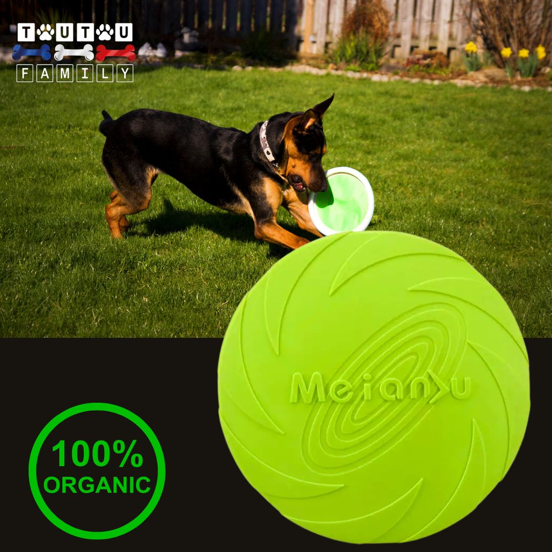 jouet-chien-vert