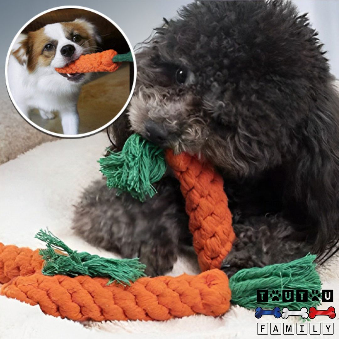 jouet-chien-solide-corde