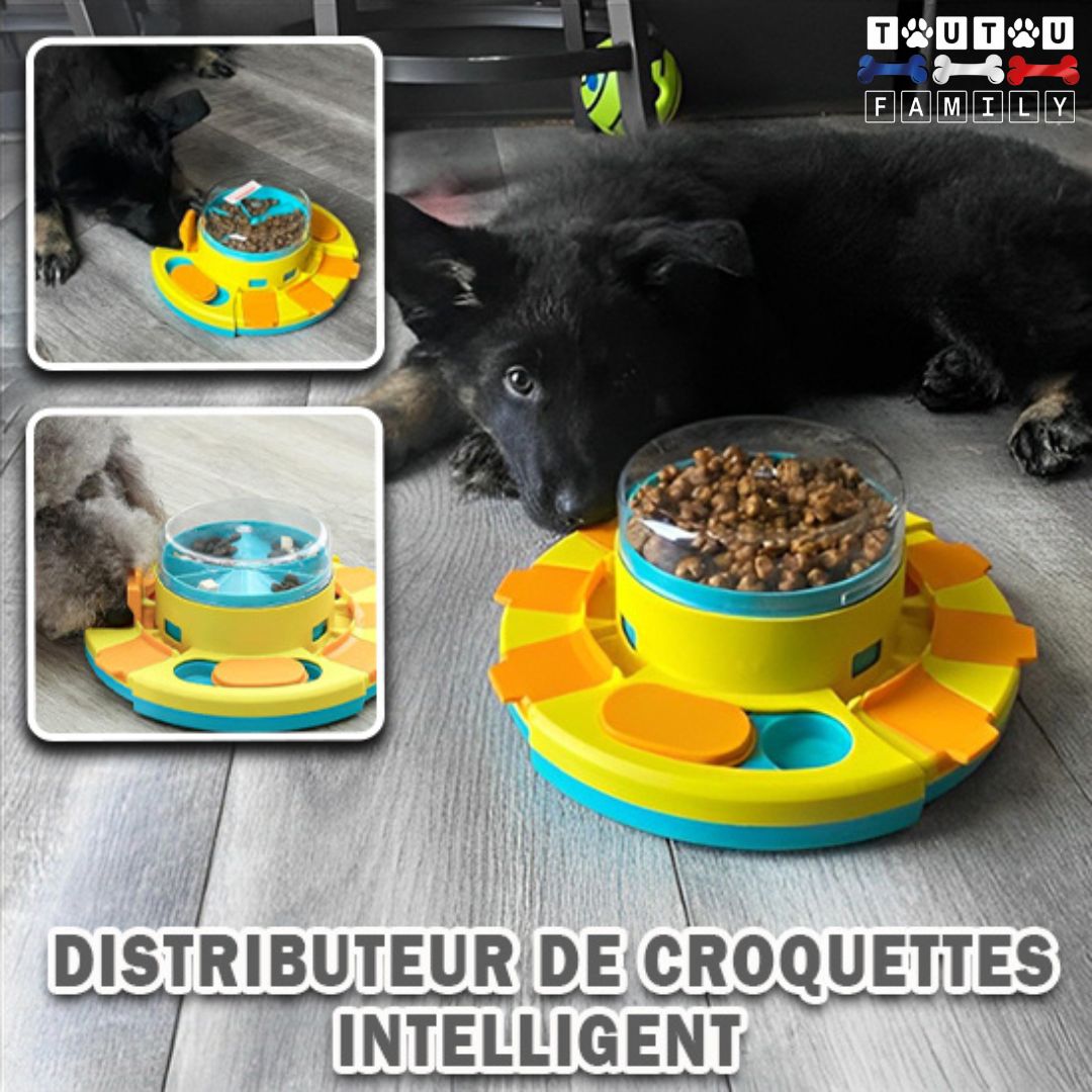 jouet-distributeur-de-croquette-chien-ant-glouton-un-caniche-et-un-chien-de-petite-taille-qui-mange-grĂące-au-distributeur-de-croquette-puzzle-intelligent