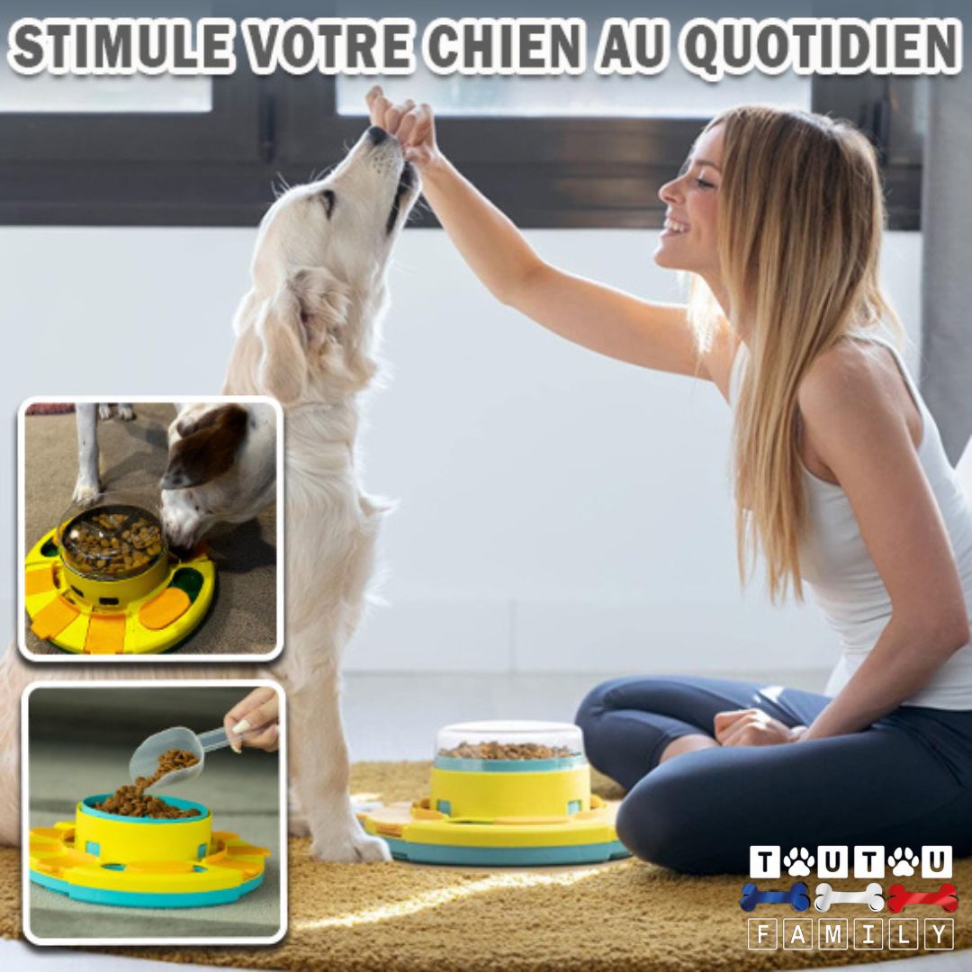 jouet-distributeur-de-croquette-chien-puzzle-une-prpriétaire-de-golden-sable-qui-donne-une-croquette-en-souriant-à -son-chien-au-dessus-du-jouet-pour-lui-apprendre-à -l-utilliser