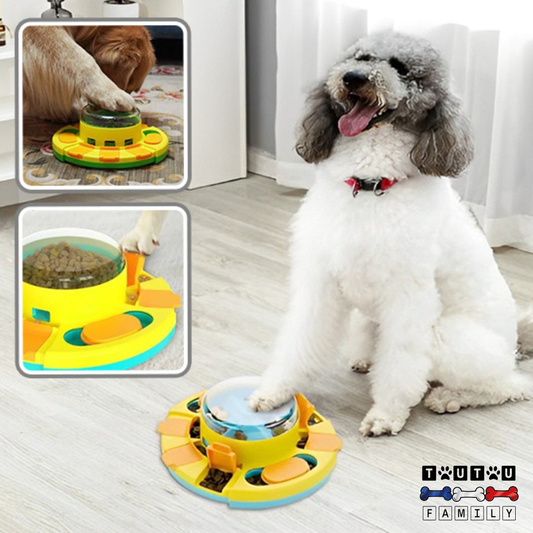 jouet-distributeur-de-croquette-chien-stimulant-pour-une-meilleur-digestion-caniche-heureux-qui-met-sa-patte-sur-le-jouet-pour-faire-descendre-les-croquettes