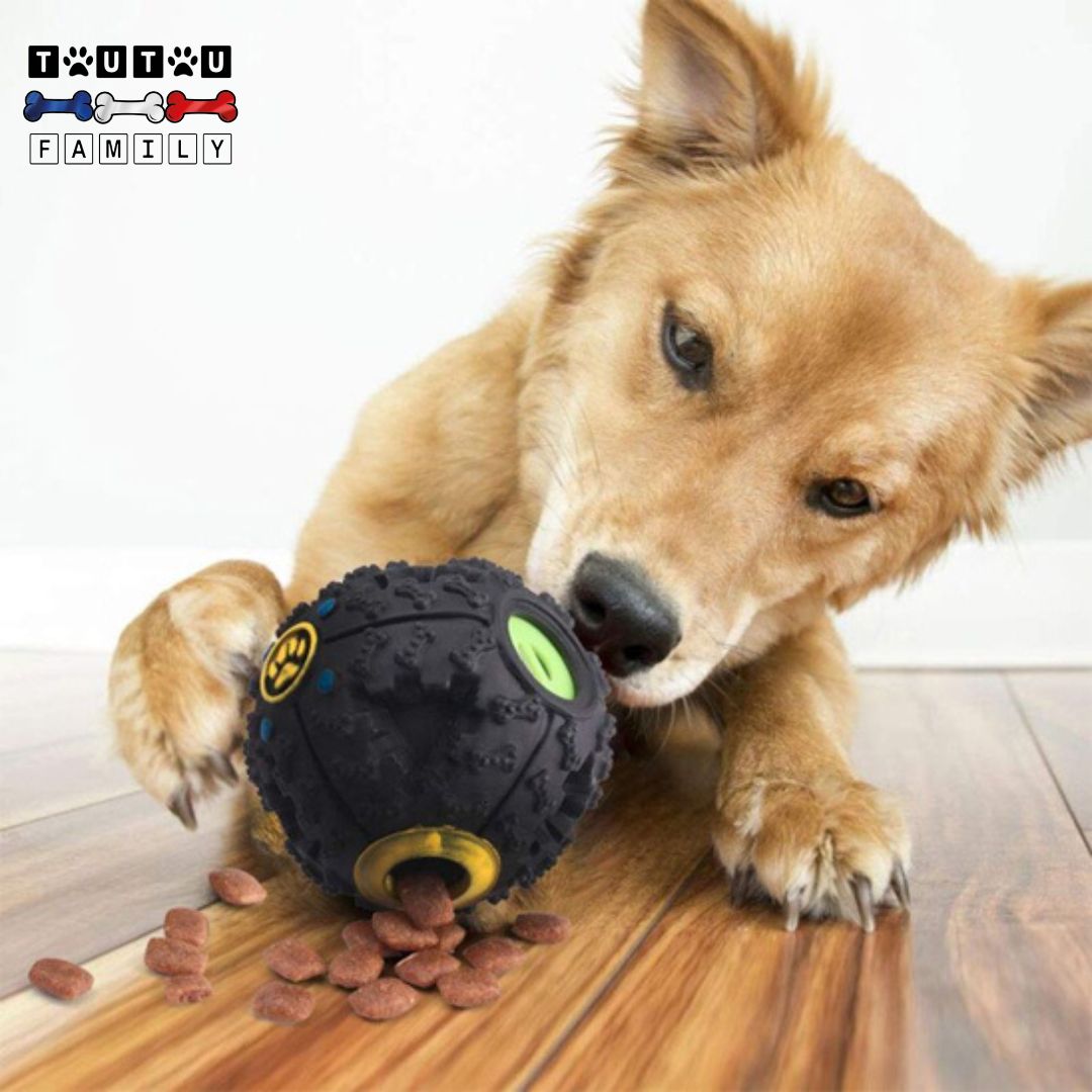 jouet-distributeur-de-croquettes-chien-jeu-intelligent-pour-chien-jeu-éducatif-pour-tout-les-chiens