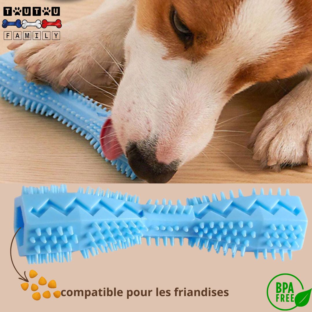 jouet-d-occupation-chien-bleu-dent