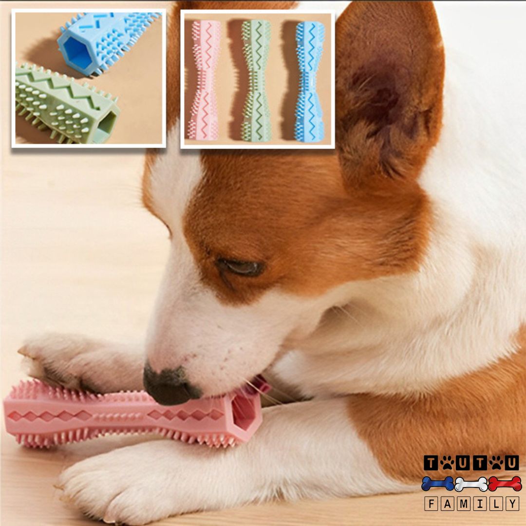 jouet-d-occupation-chien-a-macher