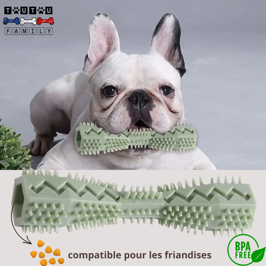 jouet-d-occupation-chien-vert