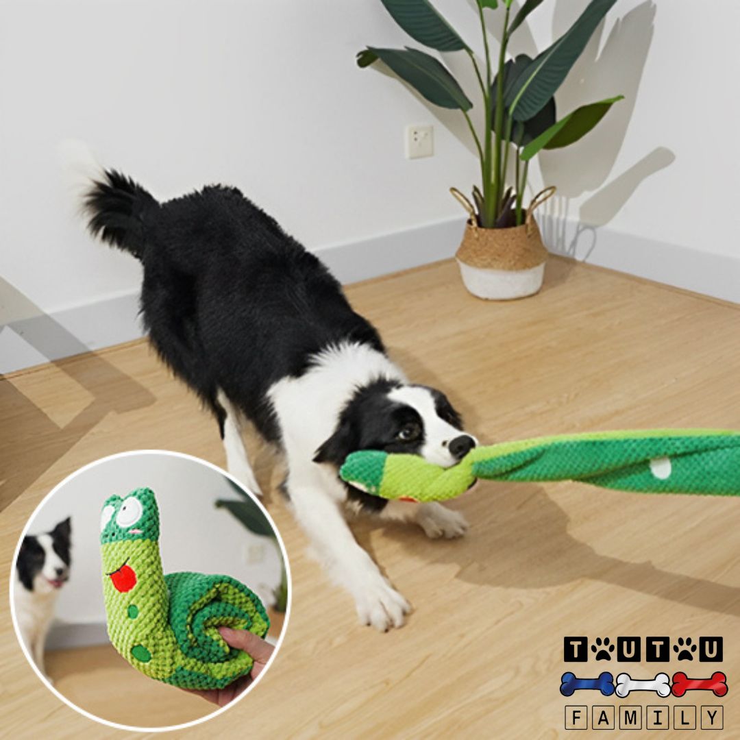 jouet-occupation-chien