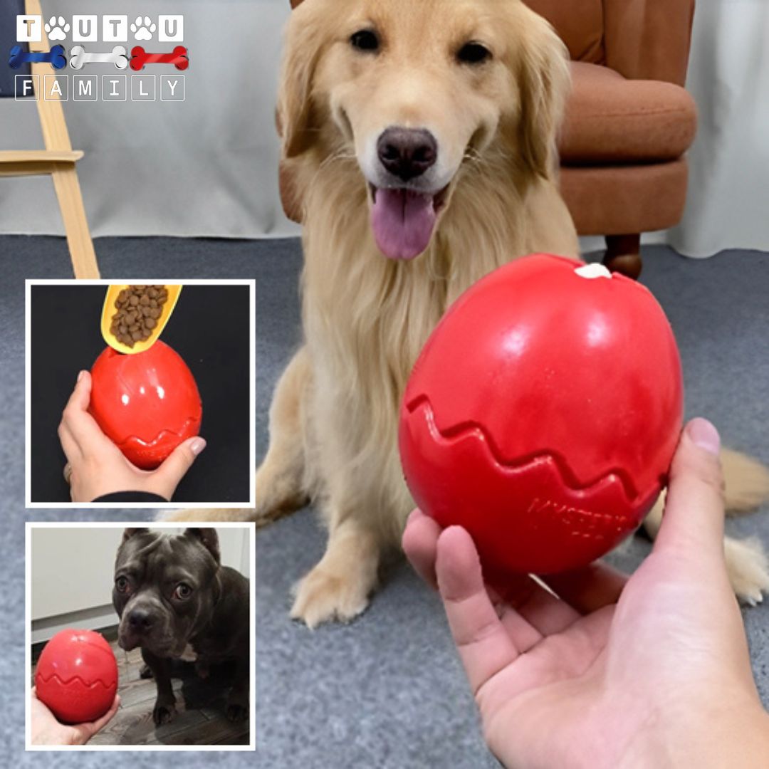 jouet-d-occupation-chien-à -garnir-de-croquette-de-nourriture-liquide-anti-anxiété-golden-bouledogue
