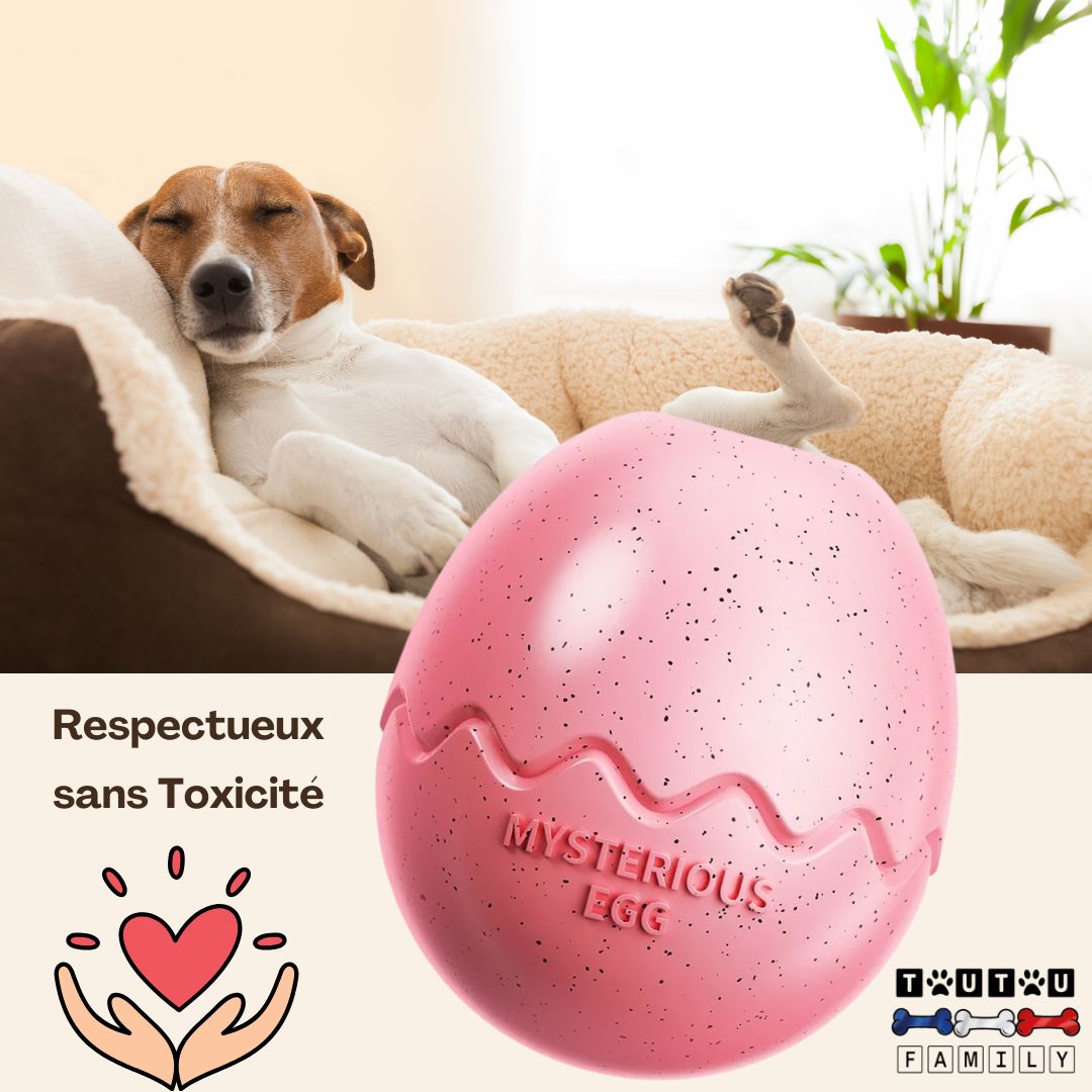 Jouet d'occupation chien - ZenToutouâą