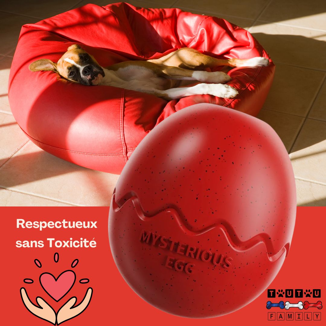 jouet-d-occupation-chien-oeuf-rouge-et-un-chien-qui-est-détendu-et-dort-dans-son-panier-rouge