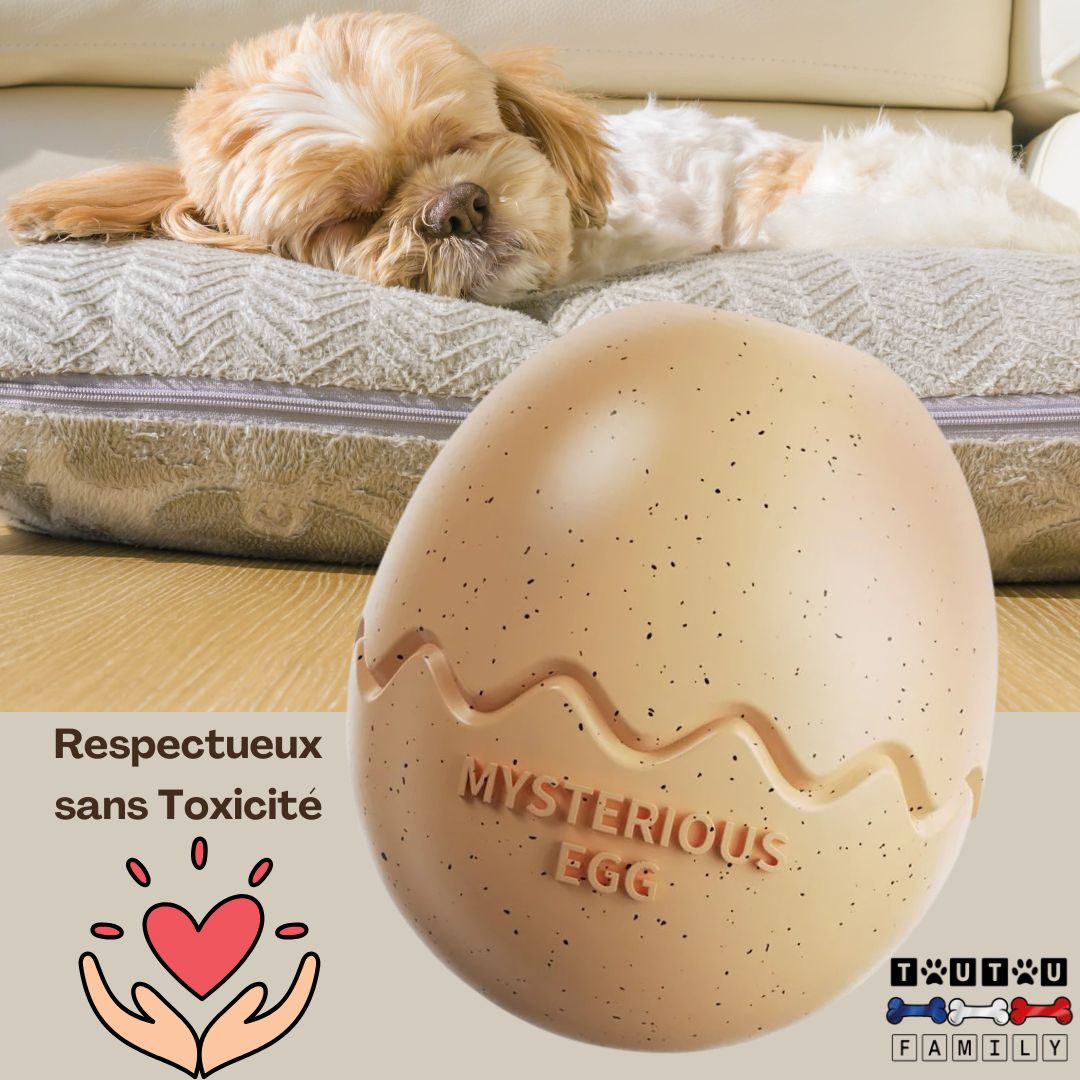 jouet-d-occupation-chien-oeuf-a-garnir-beige-un-coton-de-tuléar-qui-dort-sereinement