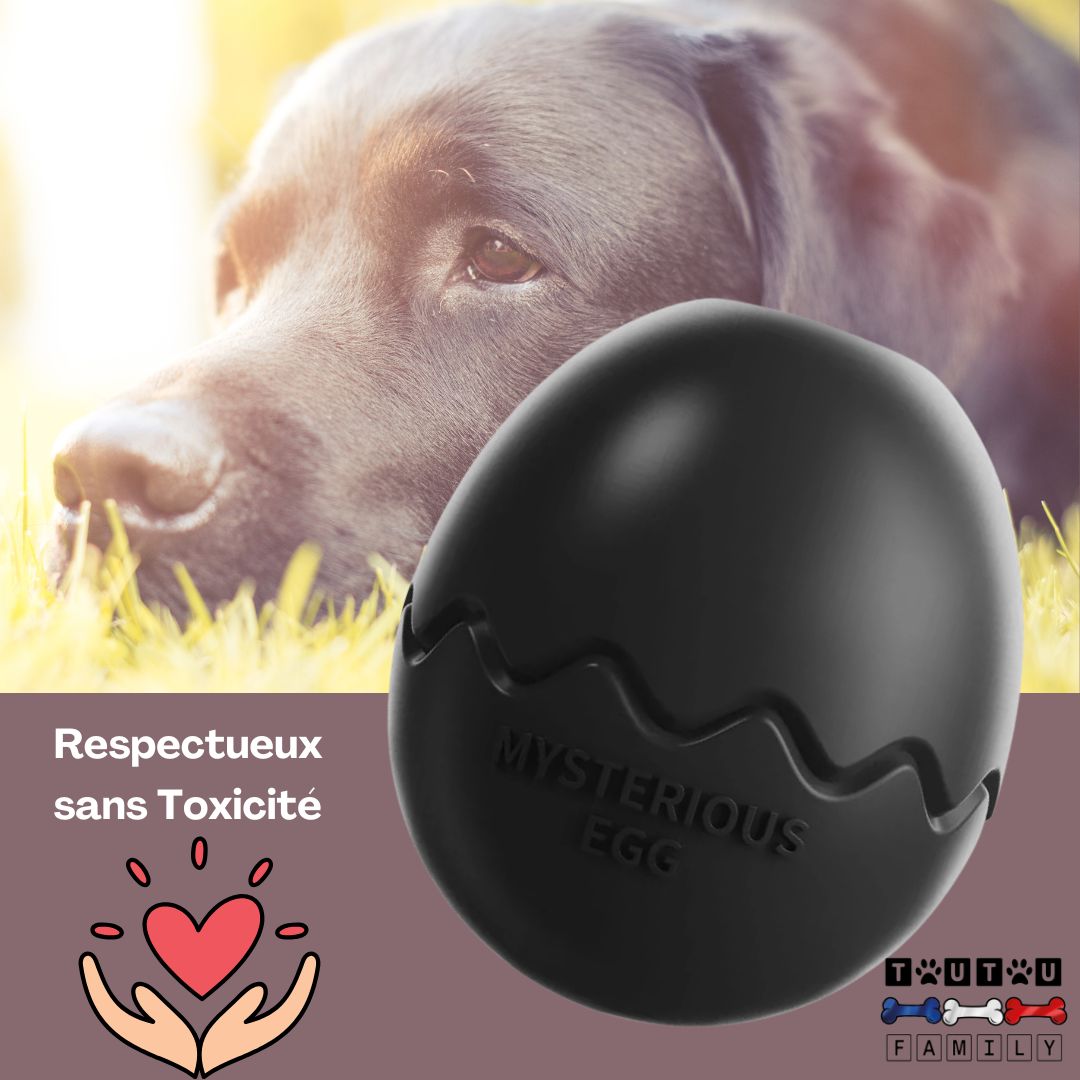 jouet-d-occupation-chien-oeuf-a-garnir-noir-avec-un-labrador-reposé