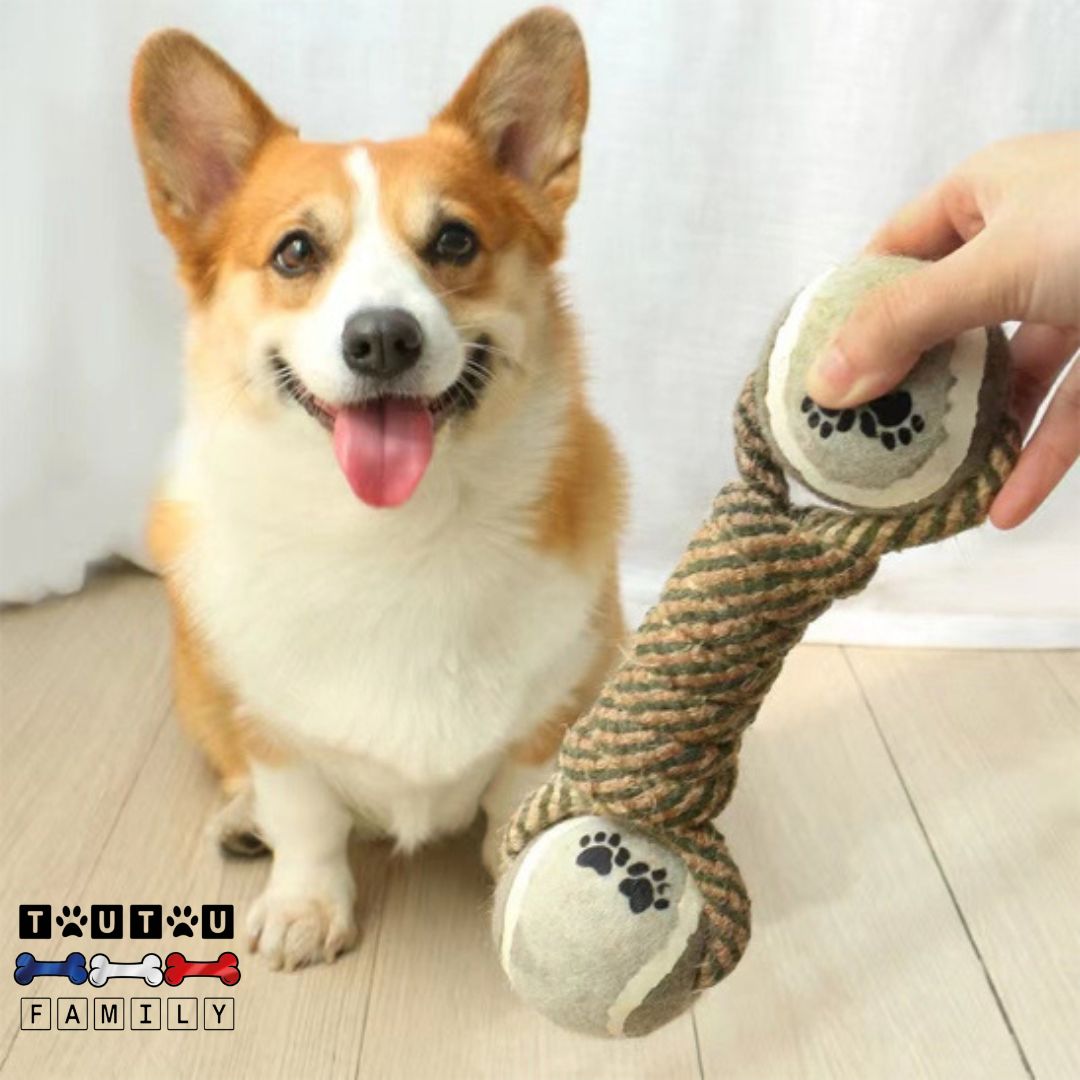 Jouet-en-corde-pour-chien-a-nœud-et-balle-un-chien-qui-joue-au-tire-à-la-corde-avec-son-maitre-jeu-éducatif-jouet-interactif