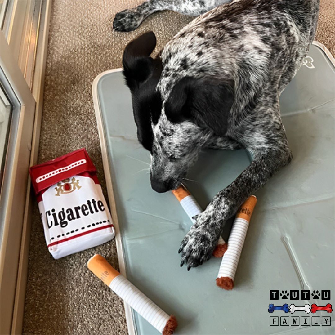 Jouet-en-peluche-pour-chien-cigarette-doux-hygiene-dentaire-un-chien-de-grande-taille-qui-mord-le-jouet-qui-couine