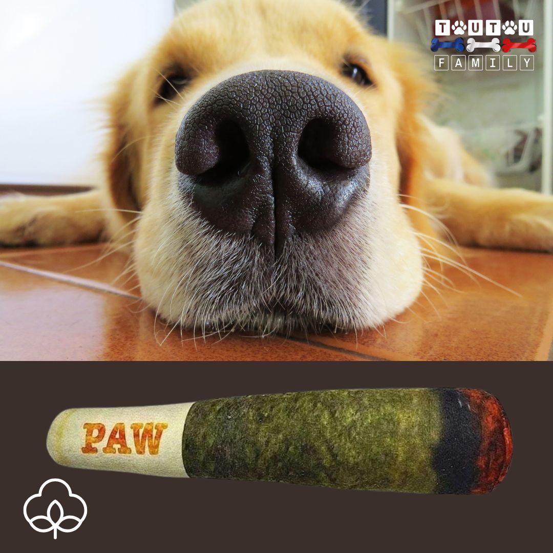 jouet-en-peluche-pour-chien-jouet-interactif-pour-grand-chien-en-forme-de-cigare-rigolo