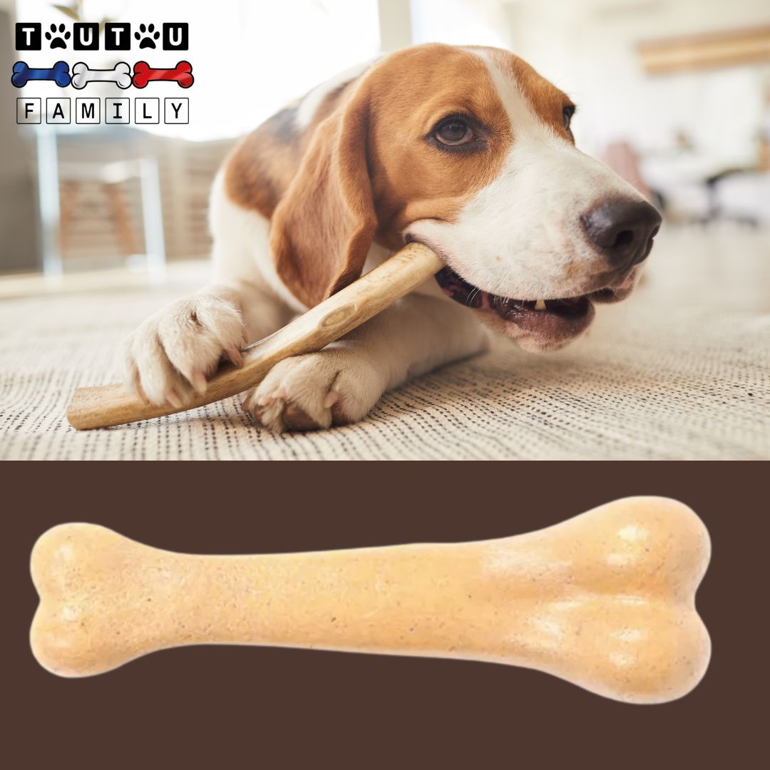Jouet-indestructible-pour-chien-naturel-mastication-bois-résistant-solide-pour-toute-taille-de-chien