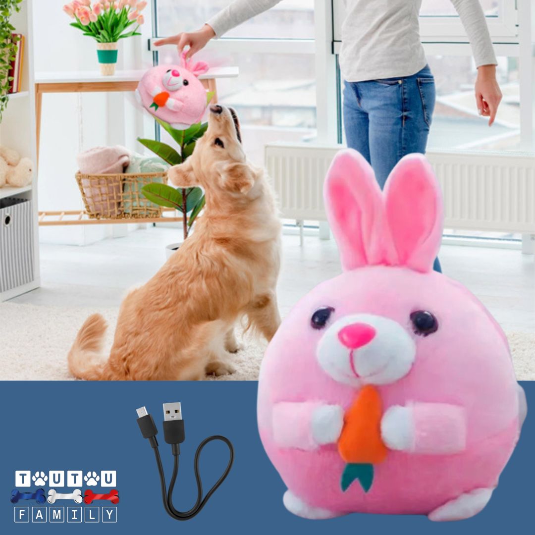 Jouet-interactif-pour-chien-lapin-avec-câble-de-recharge-USB-fourni-housse-lavable