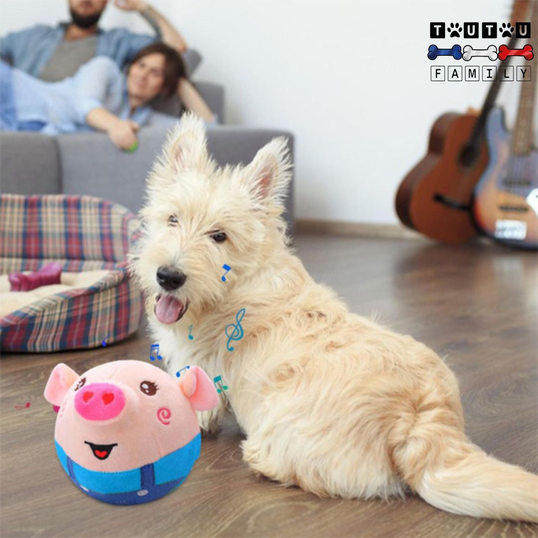 Jouet-interactif-pour-chien-cochon-qui-bouge-toute-seule-un-chien-qui-joue-avec-sa-balle-en-forme-de-cochon-avec-sa-housse-en-peluche-lavable-en-machine-pendant-que-ses-maitres-se-reposent