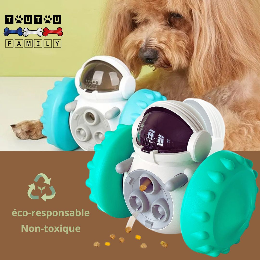 jouet-interactif-pour-chien-turquoise