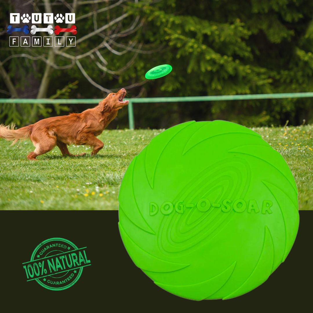 Jouet-interactif-pour-chien-frisbee-caoutchouc-vert-un-golden-qui-court-sur-la-pelouse-pour-attraper-son-frisbee-vert-dans-les-air