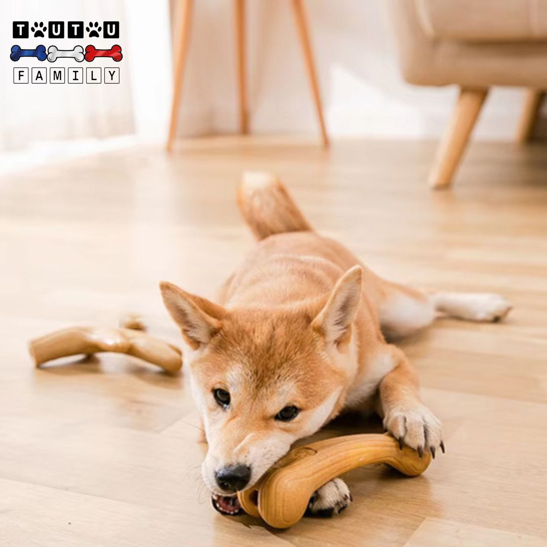 jouet-pour-chien-destructeur-bois-de-cerf-indestructible-un-chien-de-taille-moyenne-allongé-qui-mord-et-ache-son-jouet-os
