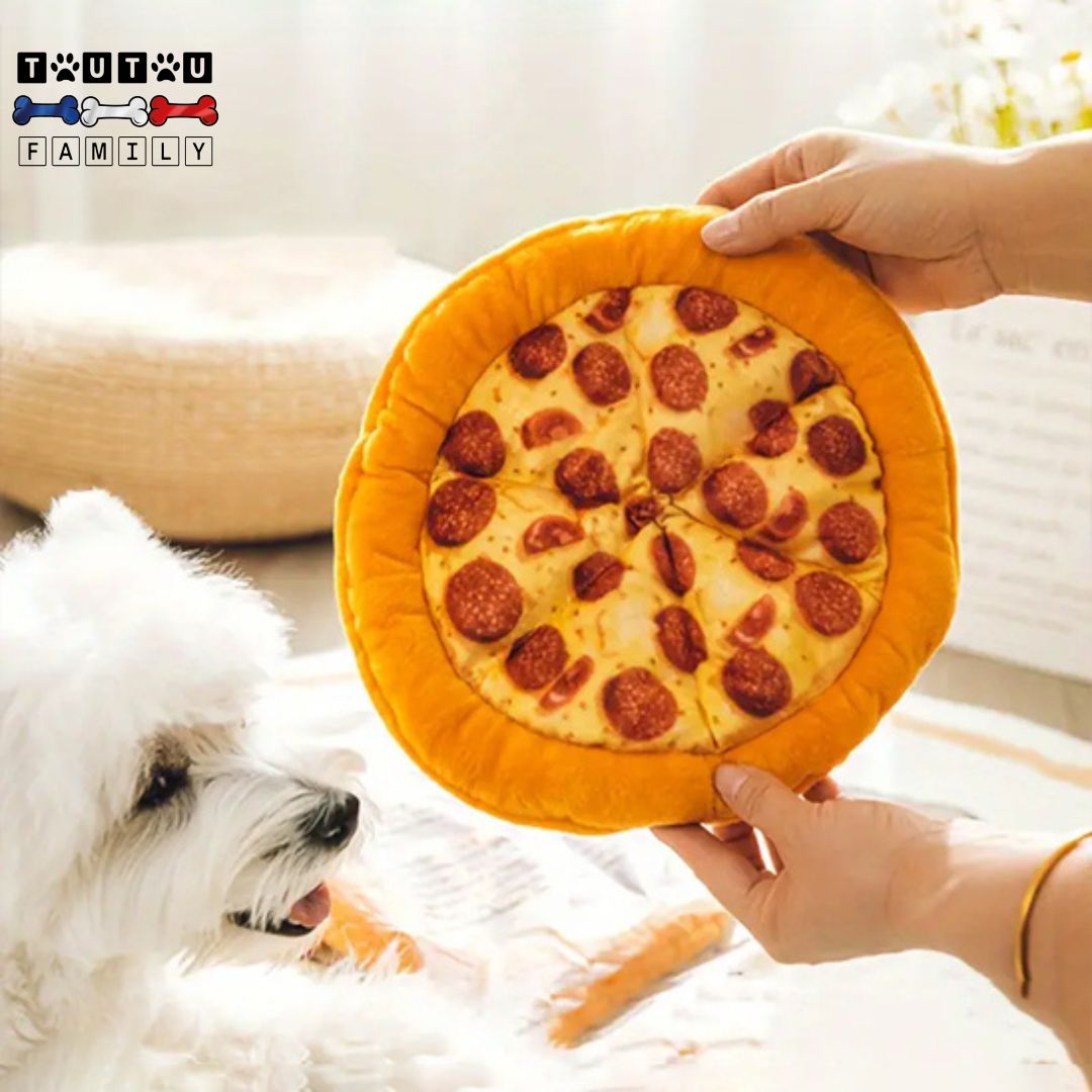 Jouet-pour-chien-en-peluche-pizza-sonore-un-outil-contre-l-anxiété-de-séparation-jeu-éducatif-un-maitre-qui-tend-le-jouet-pizza-en-peluche-sonore-à-son-petit-chien-pour-l-habituer-à-la-séparation