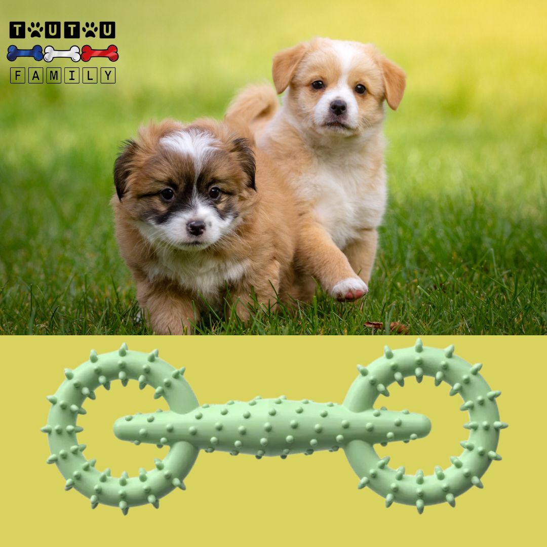 Jouet-pour-chiot-petit-chien-vert-clair-deux-chiots-de-grande-race-avec-leur-anneau-de-dentition-indestructible