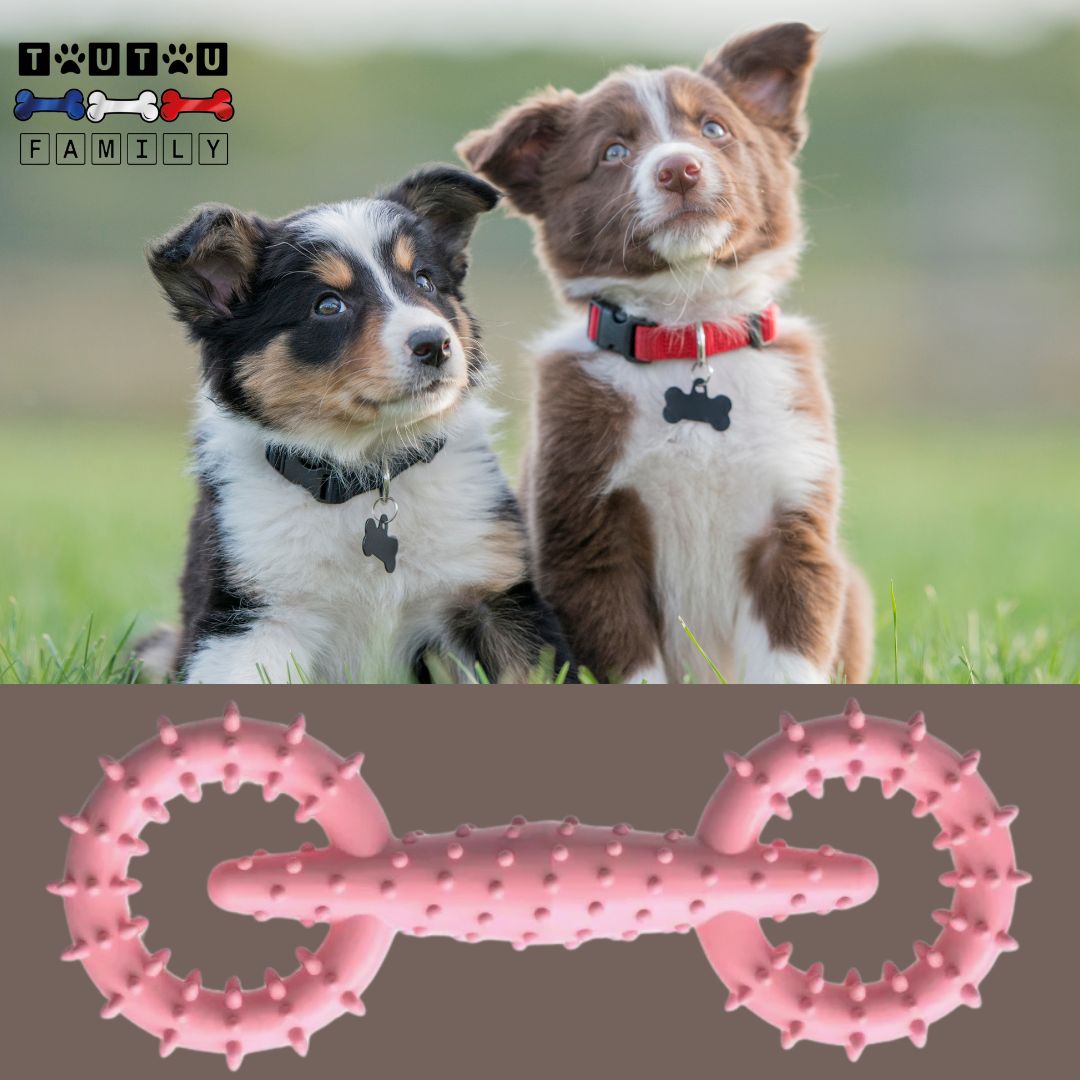 Jouet-pour-chiot-petit-chien-indestructible-rose-deux-chiot-de-race-avec-leur-jouet-Ă -mĂącher-indestructible