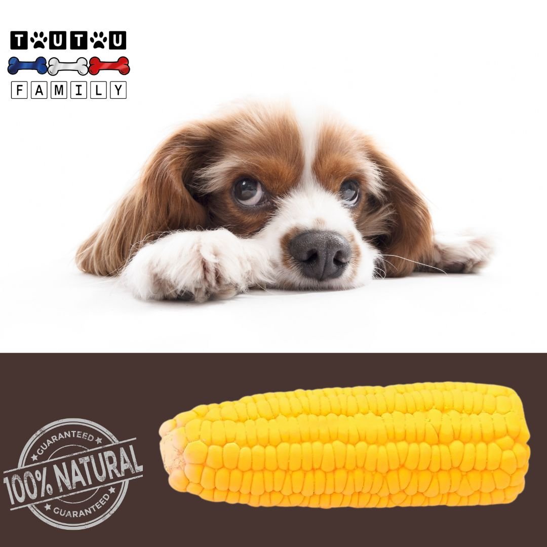jouet-pour-chiot-et-pour-petite-race-de-chien-a-mâcher-en-forme-de-maïs-résistant-et-souple-en-latex-100%-naturel-sans-danger
