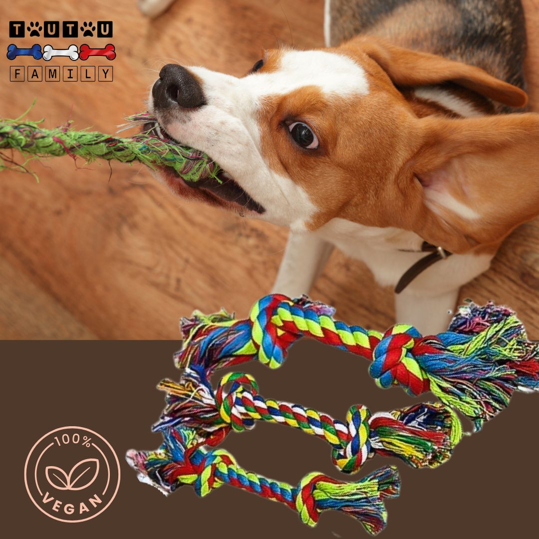 jouet-pour-chien-corde-a-mordre