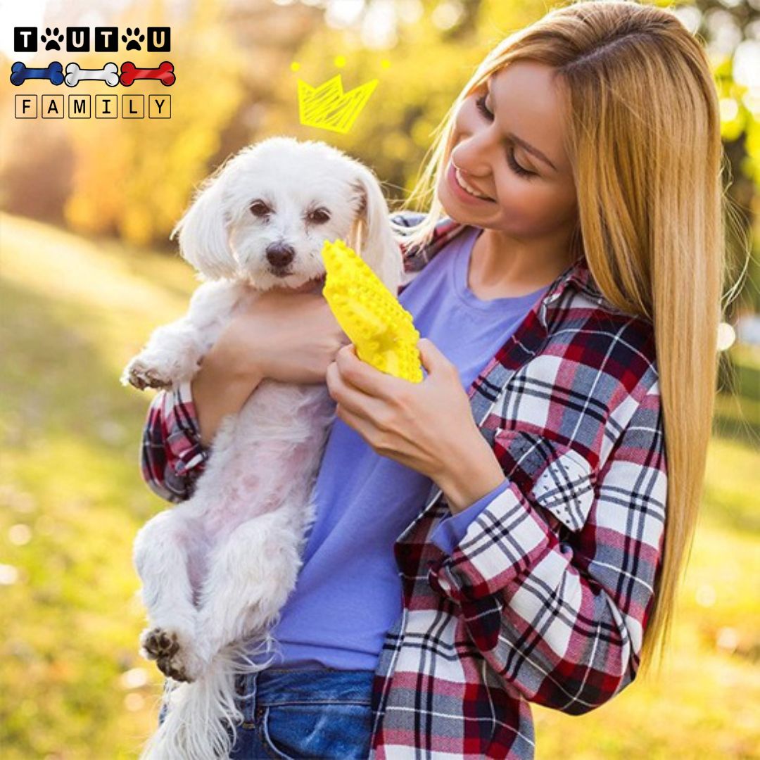 jouet-solide-pour-chien-chiot-brosse-a-dent-un-petit-chien-blanc-a-poils-longs-qui-est-heureux-de-découvrir-le-jouet-dans-les-bras-de-sa-maitresse-souriante