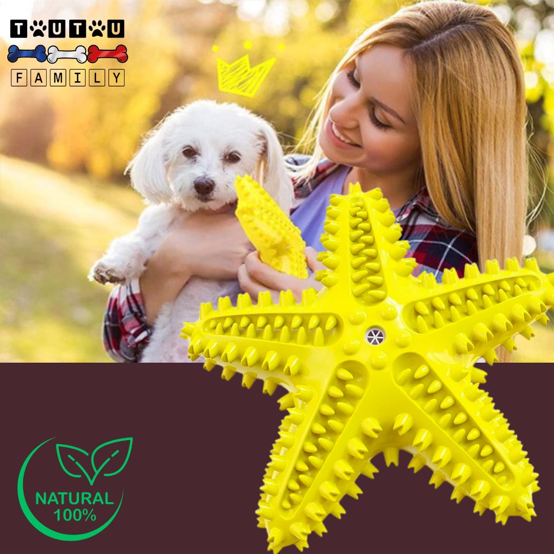 jouet-solide-pour-chien-jaune-un-petit-chien-avec-le-jouet-dans-les-bras-de-son-maître