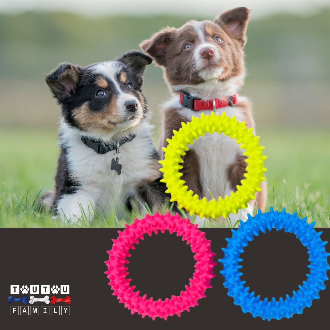 Jouets-pour-chiots-anneau