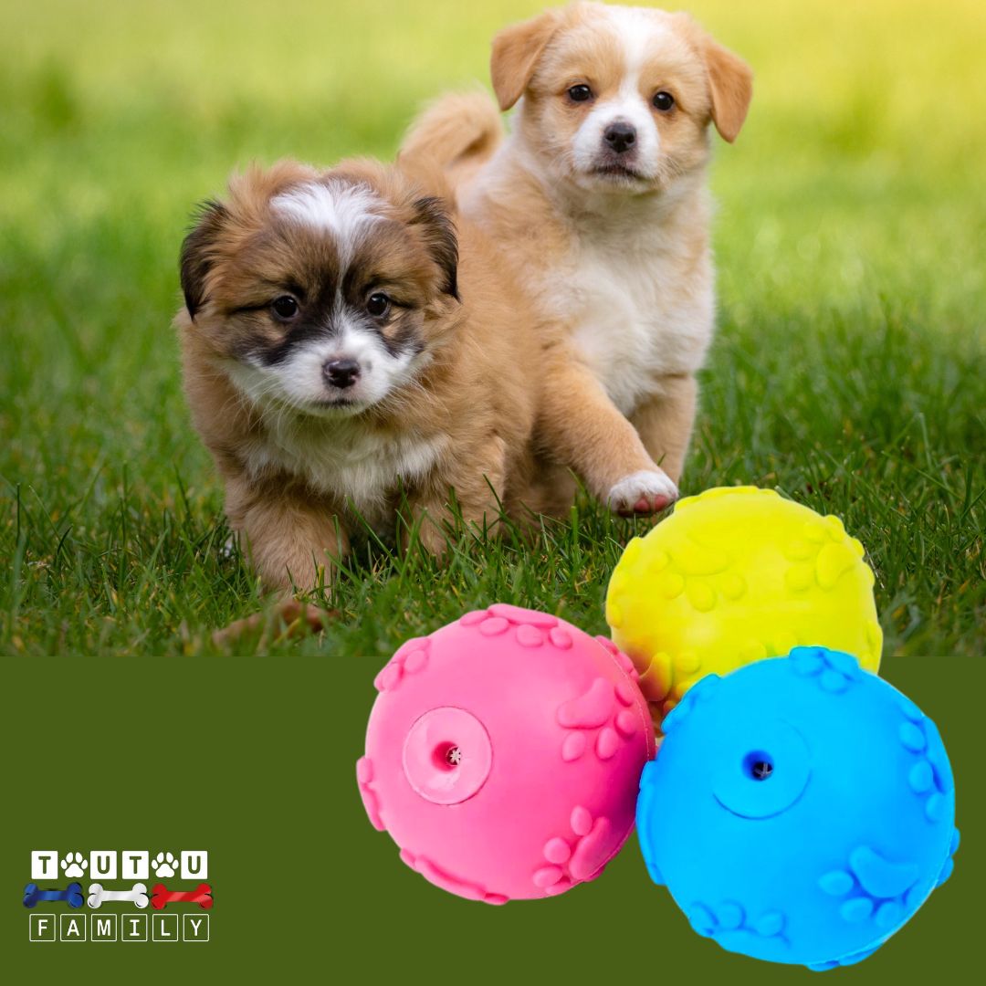 Jouets-pour-chiots-balle
