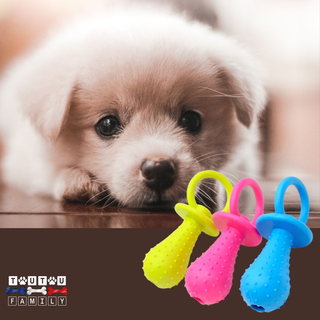 Jouets-pour-chiots-tetine-à-mâcher
