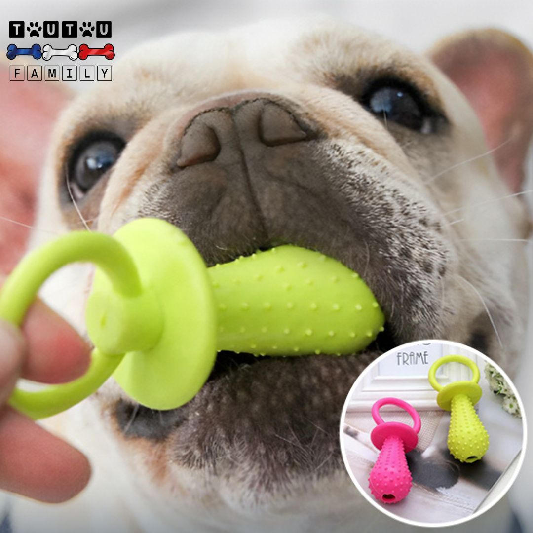 jouets-pour-chiots-lavable-chiot-bouledogue-qui-fait-ses-dents-sur-e-jouet-dentaire-solide-et-souple