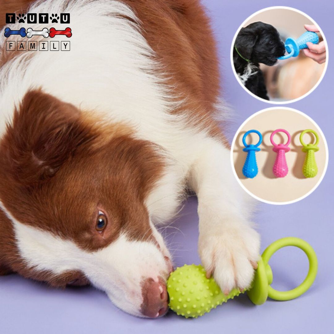 jouets-pour-chiots-solide-chiot-qui-mordille-le-jouet