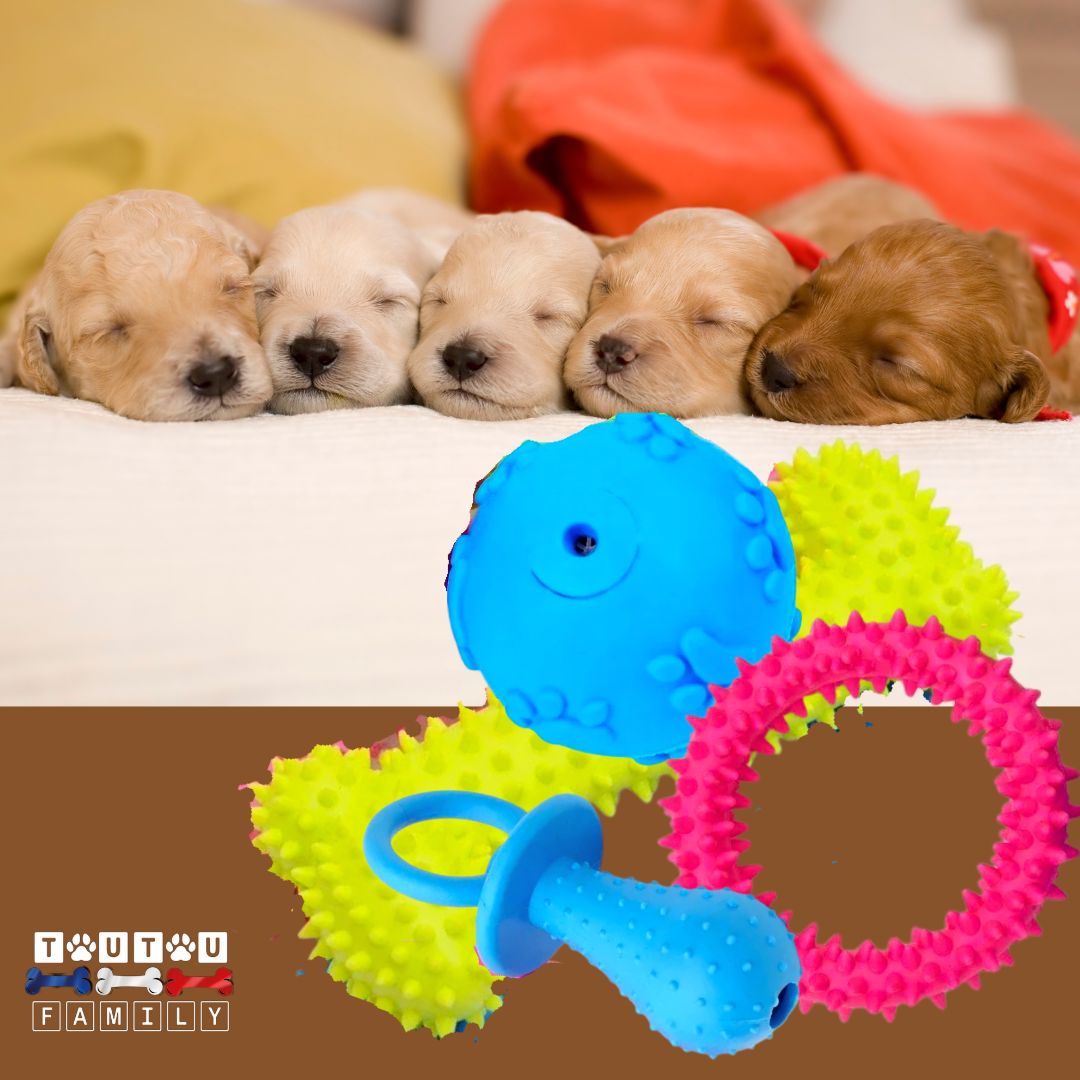 Jouets-pour-chiots-pack-de-4-jouets