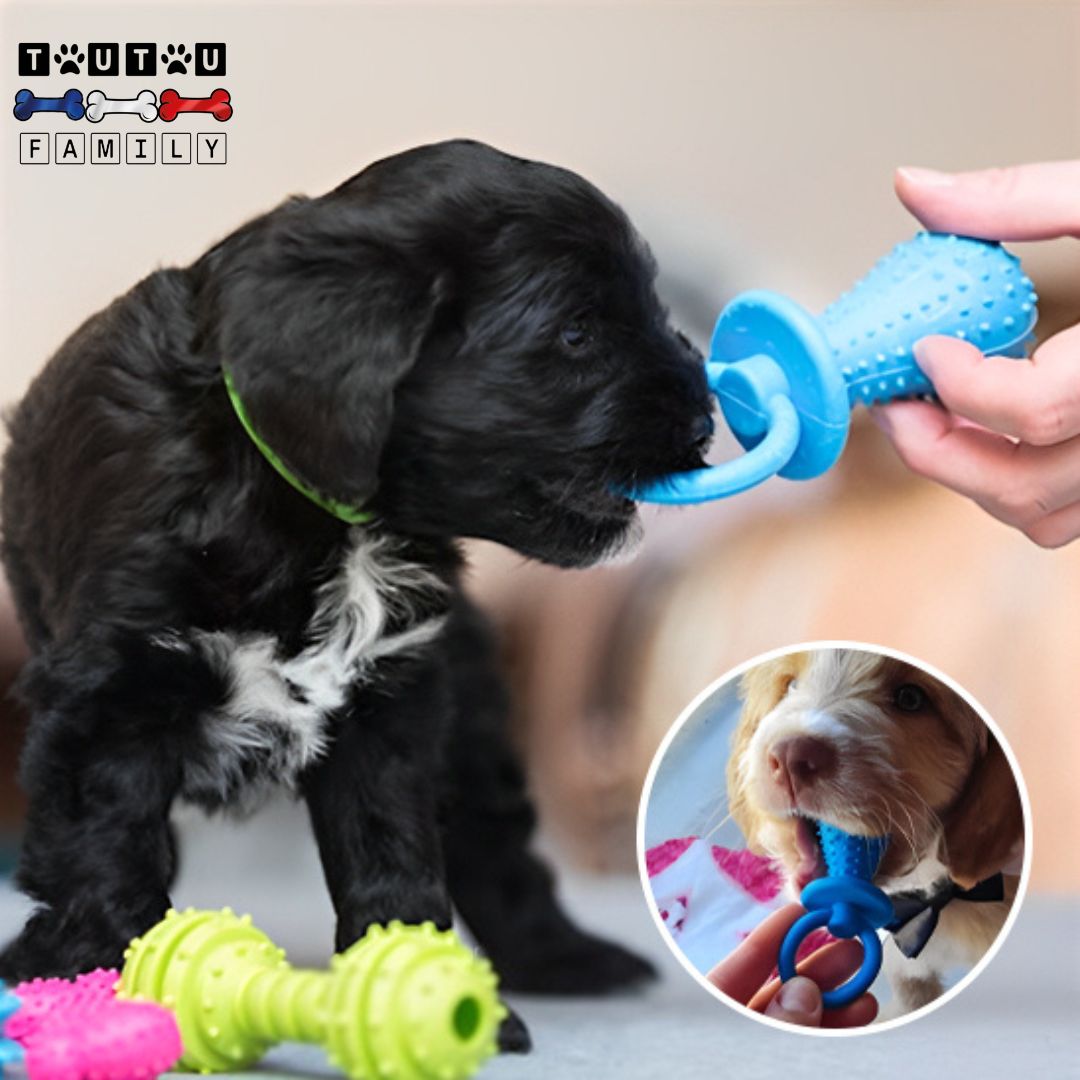 jouets-pour-chiots-a-mâcher-ergonomique-nettoie-et-soulage-les-poussées-dentaires