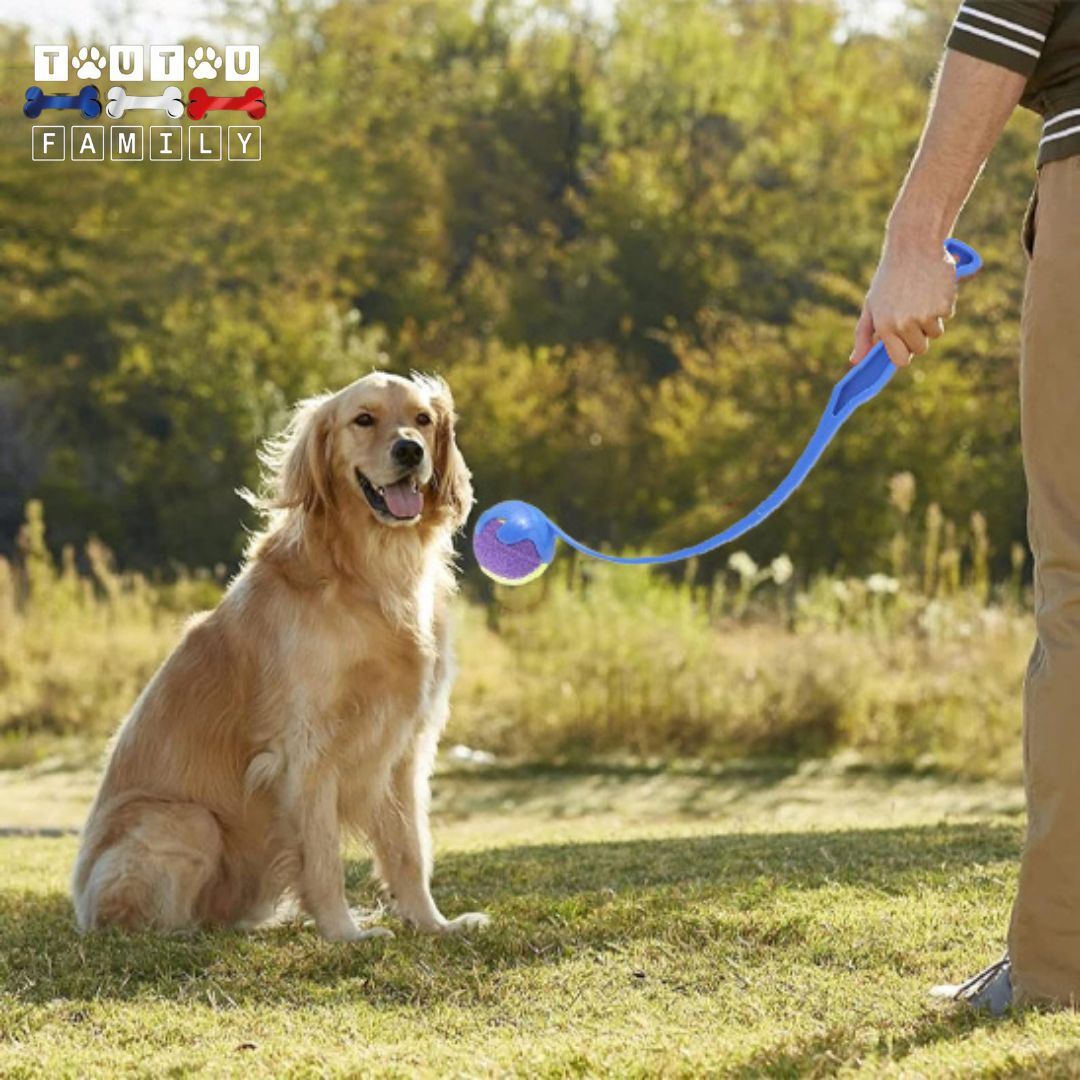 lanceur-de-balle-pour-chien avec balle de tennis compatible avec poignée ergonomique un propriétaire de golden retriever qui utilise le lanceur de balle dans le parc pour des jeux interactif et éducatif pour jeux extérieur