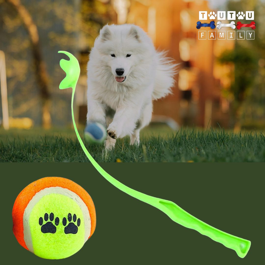 lanceur-de-balle-pour-chien-vert-avec-balle-de-tennis un chien de grande race qui court derrière la balle de tennis à l'extérieur