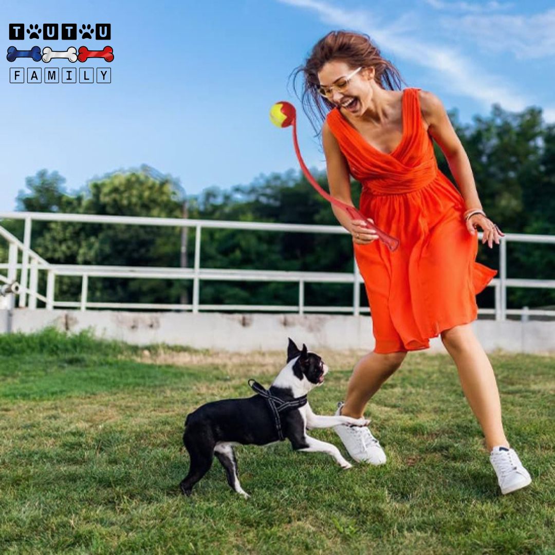 lanceurs-de-balles-pour-chien-jeu-interactif-extérieur