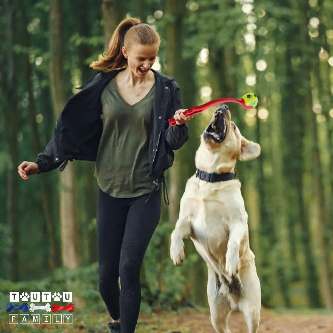 lanceurs-de-balles-pour-chien-jeu-interactif-avec-balles