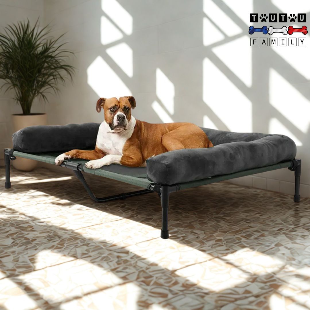 Lit-de-camp-chien-avec-couverture-amovible-lit-respirant-un-chien-couché-sur-son-lit-surélevé-avec-traversin-amovible-sur-la-terrasse-de-la-maison