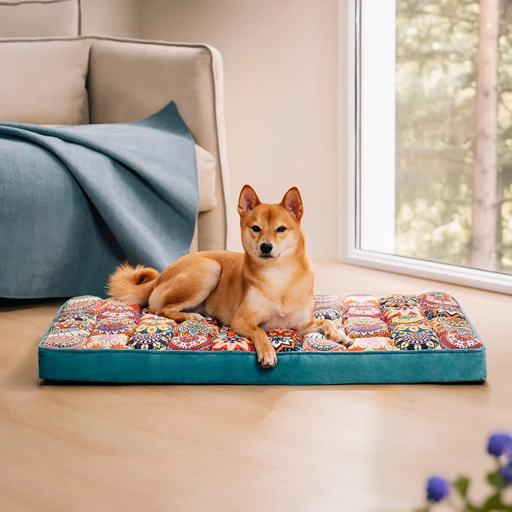 lit-orthopédique-chien-dehoussable-lavable-antidérapant-un-corgi-welsh-couché sur le matelas remplie à la main de 100% coton PP pour un rebond optimal qui soulage les articulations du chien avec sa poignée cousue pour le transport