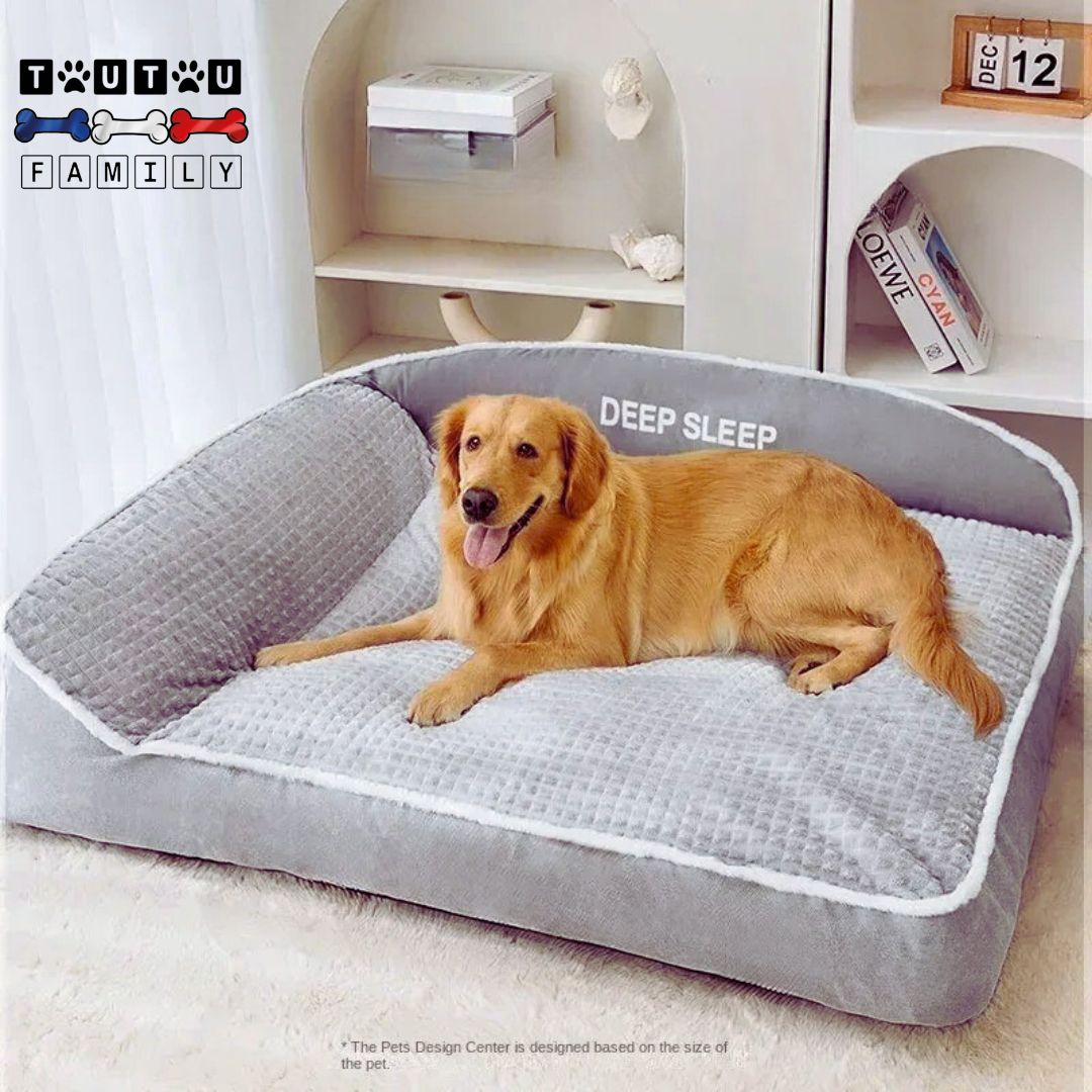 Lit-orthopedique-chien-avec-traversin-coton-un-golden-couché-confortablement-dans-son-lit-XXL-ergonomique-à-mémoire-de-forme-dans-son-salon
